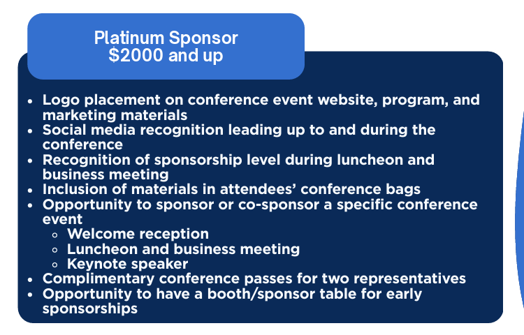 Platinum Sponsorship